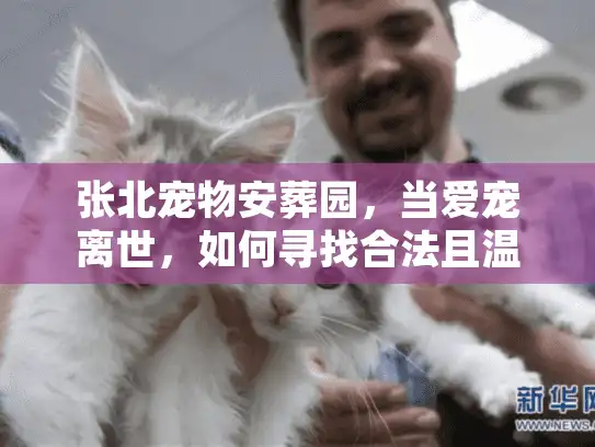 张北宠物安葬园，当爱宠离世，如何寻找合法且温情的最后归宿？