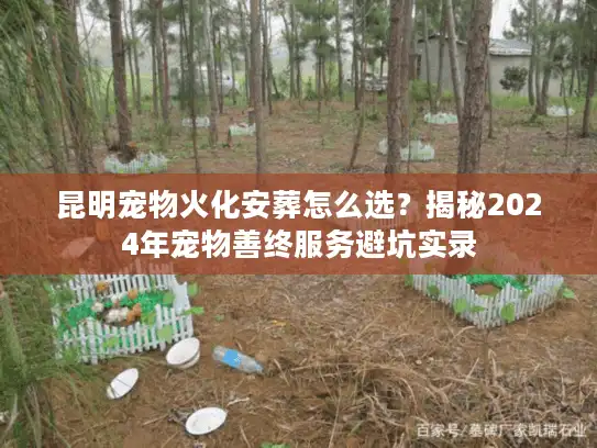 昆明宠物火化安葬怎么选？揭秘2024年宠物善终服务避坑实录
