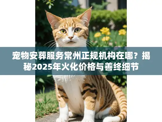 宠物安葬服务常州正规机构在哪？揭秘2025年火化价格与善终细节