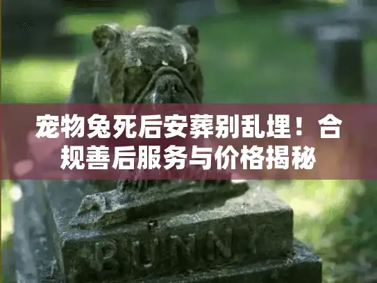 宠物兔死后安葬别乱埋！合规善后服务与价格揭秘