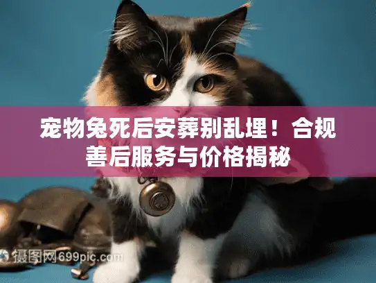 宠物兔死后安葬别乱埋！合规善后服务与价格揭秘