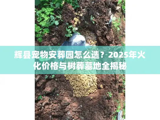辉县宠物安葬园怎么选？2025年火化价格与树葬墓地全揭秘