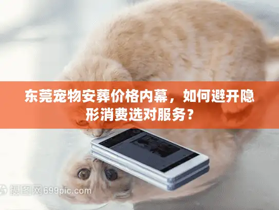 东莞宠物安葬价格内幕，如何避开隐形消费选对服务？