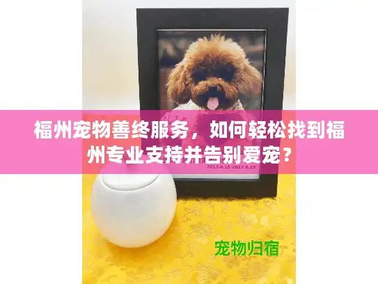 福州宠物善终服务，如何轻松找到福州专业支持并告别爱宠？