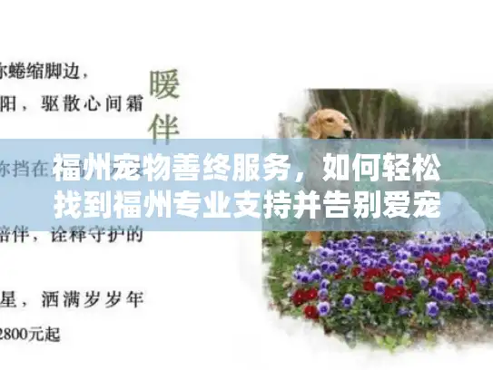 福州宠物善终服务，如何轻松找到福州专业支持并告别爱宠？