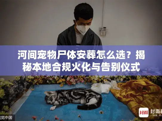 河间宠物尸体安葬怎么选？揭秘本地合规火化与告别仪式