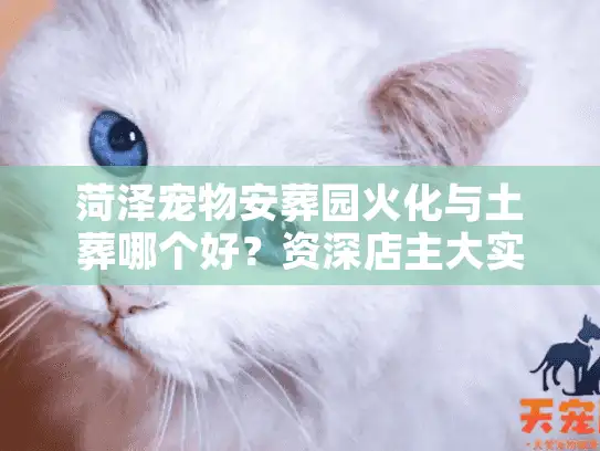菏泽宠物安葬园火化与土葬哪个好？资深店主大实话