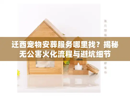 迁西宠物安葬服务哪里找？揭秘无公害火化流程与避坑细节
