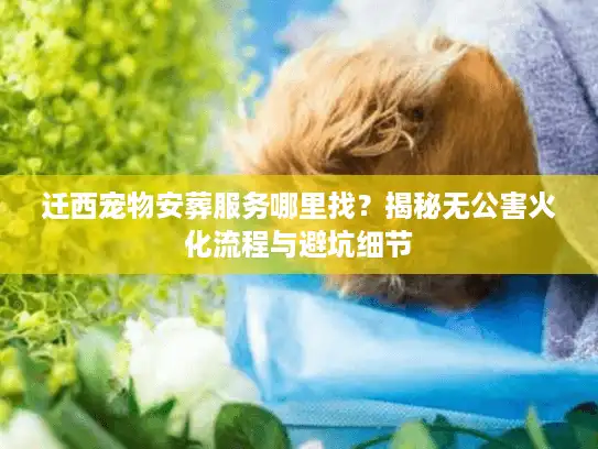 迁西宠物安葬服务哪里找？揭秘无公害火化流程与避坑细节