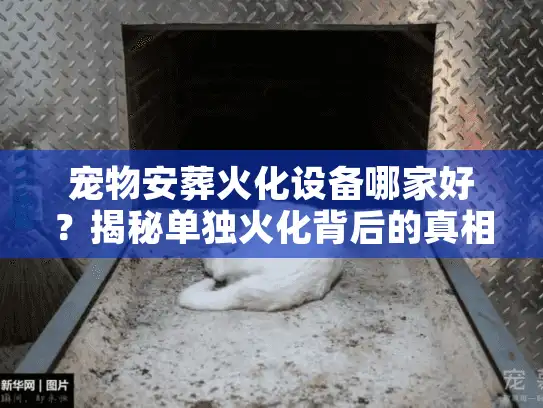 宠物安葬火化设备哪家好？揭秘单独火化背后的真相
