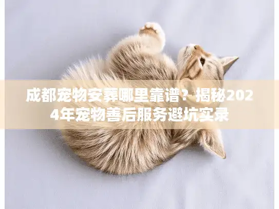 成都宠物安葬哪里靠谱？揭秘2024年宠物善后服务避坑实录
