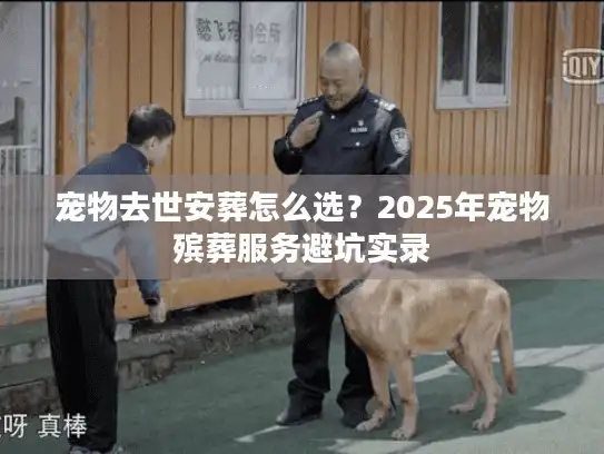 宠物去世安葬怎么选？2025年宠物殡葬服务避坑实录