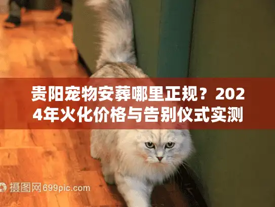 贵阳宠物安葬哪里正规？2024年火化价格与告别仪式实测