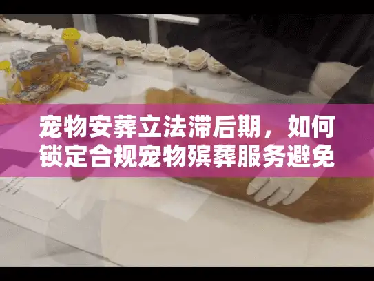 宠物安葬立法滞后期，如何锁定合规宠物殡葬服务避免二次伤害