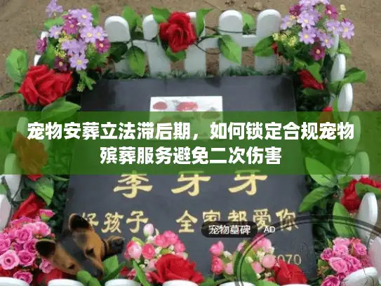 宠物安葬立法滞后期，如何锁定合规宠物殡葬服务避免二次伤害