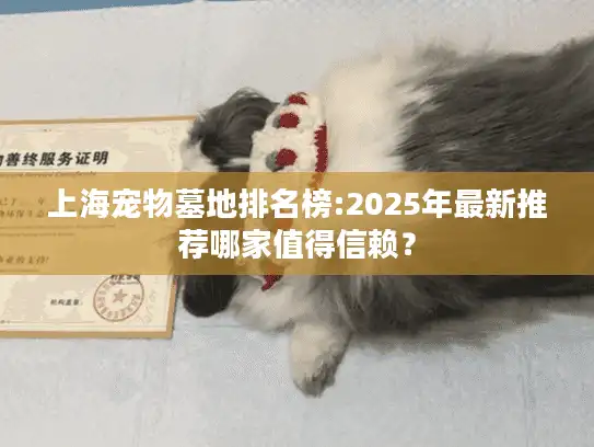 上海宠物墓地排名榜:2025年最新推荐哪家值得信赖？