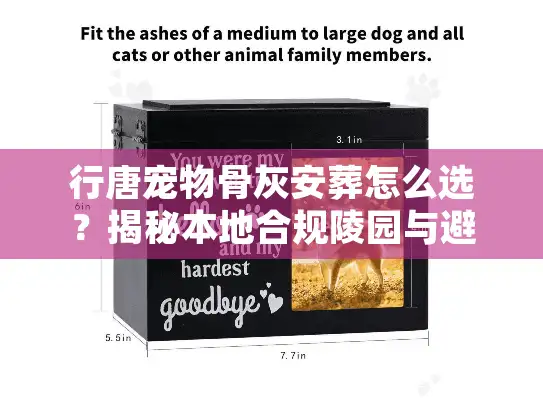 行唐宠物骨灰安葬怎么选？揭秘本地合规陵园与避坑内幕