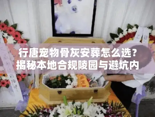 行唐宠物骨灰安葬怎么选？揭秘本地合规陵园与避坑内幕