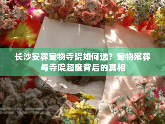 长沙安葬宠物寺院如何选？宠物殡葬与寺院超度背后的真相