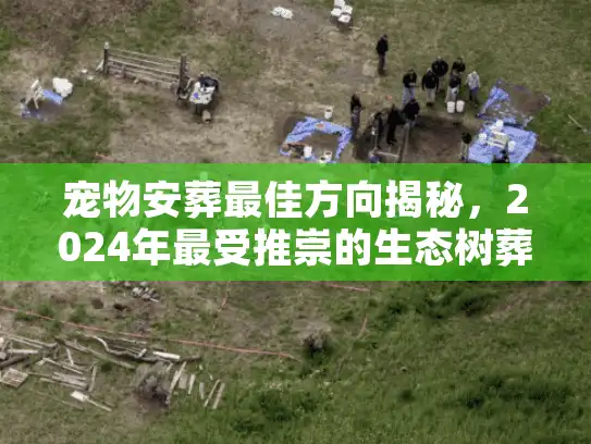 宠物安葬最佳方向揭秘，2024年最受推崇的生态树葬与告别仪式