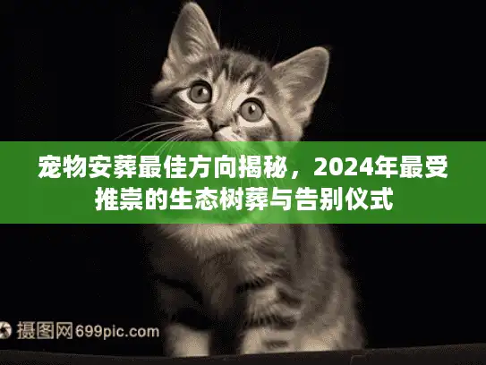 宠物安葬最佳方向揭秘，2024年最受推崇的生态树葬与告别仪式