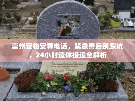 崇州宠物安葬电话，紧急善后别踩坑，24小时遗体接运全解析