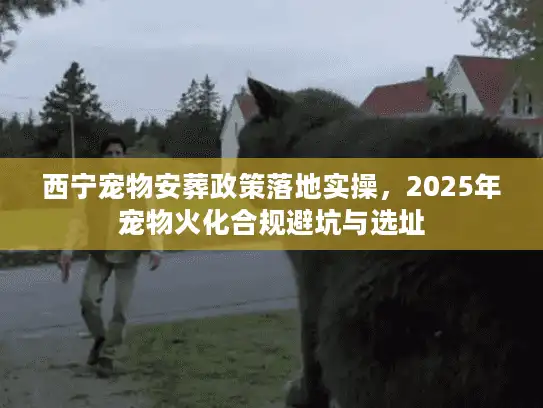 西宁宠物安葬政策落地实操，2025年宠物火化合规避坑与选址