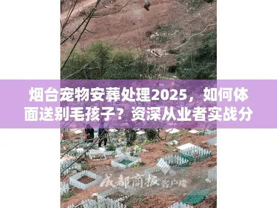 烟台宠物安葬处理2025，如何体面送别毛孩子？资深从业者实战分享
