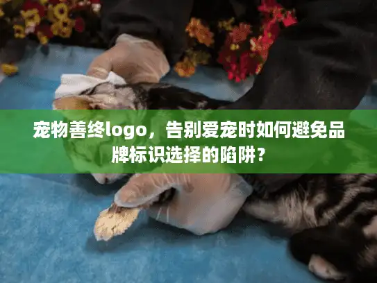 宠物善终logo，告别爱宠时如何避免品牌标识选择的陷阱？