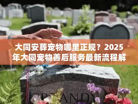 大同安葬宠物哪里正规？2025年大同宠物善后服务最新流程解析