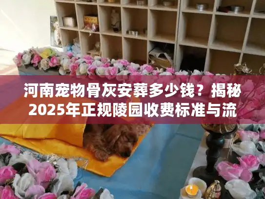 河南宠物骨灰安葬多少钱？揭秘2025年正规陵园收费标准与流程