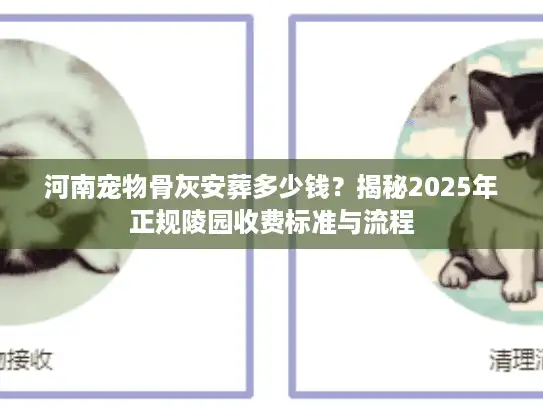 河南宠物骨灰安葬多少钱？揭秘2025年正规陵园收费标准与流程