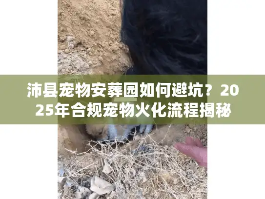 沛县宠物安葬园如何避坑？2025年合规宠物火化流程揭秘