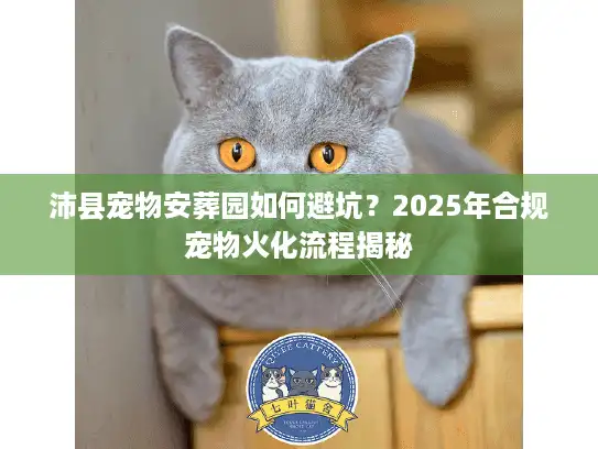 沛县宠物安葬园如何避坑？2025年合规宠物火化流程揭秘