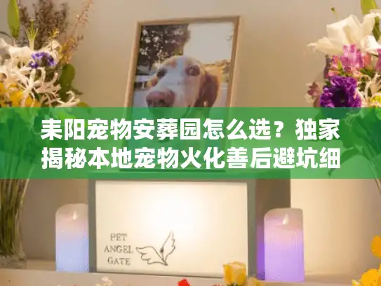 耒阳宠物安葬园怎么选？独家揭秘本地宠物火化善后避坑细节