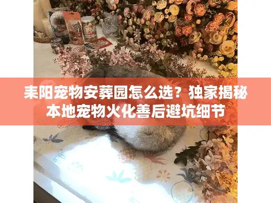 耒阳宠物安葬园怎么选？独家揭秘本地宠物火化善后避坑细节
