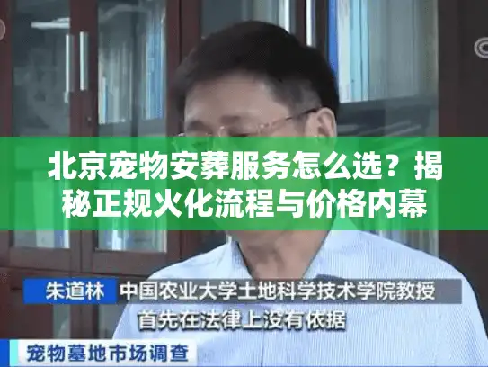 北京宠物安葬服务怎么选？揭秘正规火化流程与价格内幕