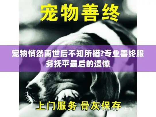 宠物悄然离世后不知所措?专业善终服务抚平最后的遗憾
