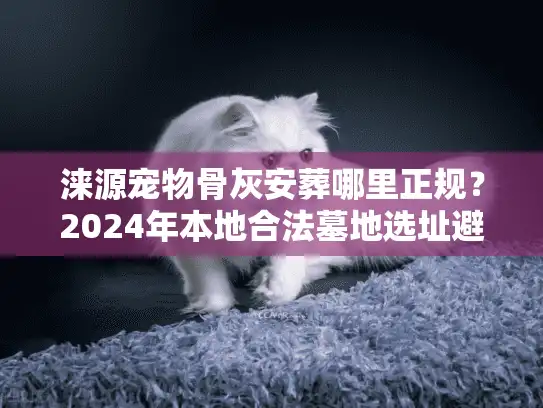 涞源宠物骨灰安葬哪里正规？2024年本地合法墓地选址避坑手册