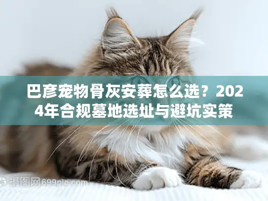 巴彦宠物骨灰安葬怎么选？2024年合规墓地选址与避坑实策
