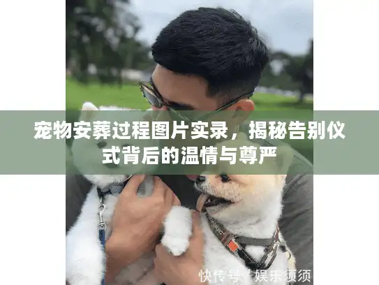 宠物安葬过程图片实录，揭秘告别仪式背后的温情与尊严
