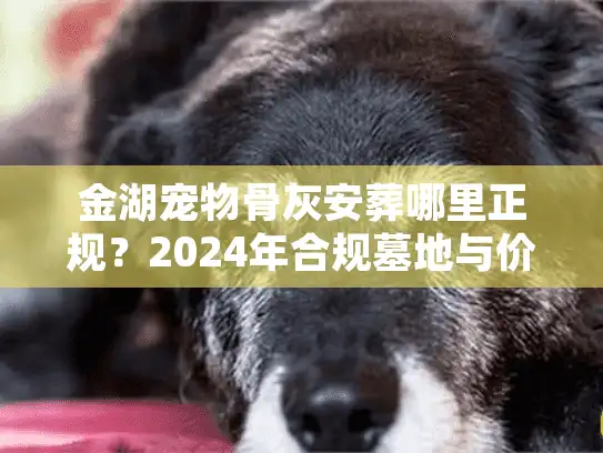 金湖宠物骨灰安葬哪里正规？2024年合规墓地与价格内幕