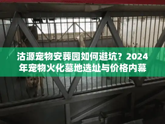 沽源宠物安葬园如何避坑？2024年宠物火化墓地选址与价格内幕
