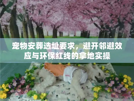 宠物安葬选址要求，避开邻避效应与环保红线的拿地实操