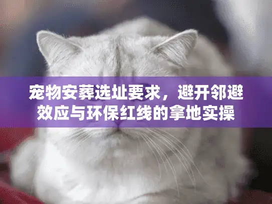 宠物安葬选址要求，避开邻避效应与环保红线的拿地实操