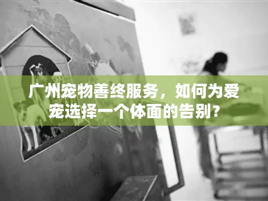 广州宠物善终服务，如何为爱宠选择一个体面的告别？