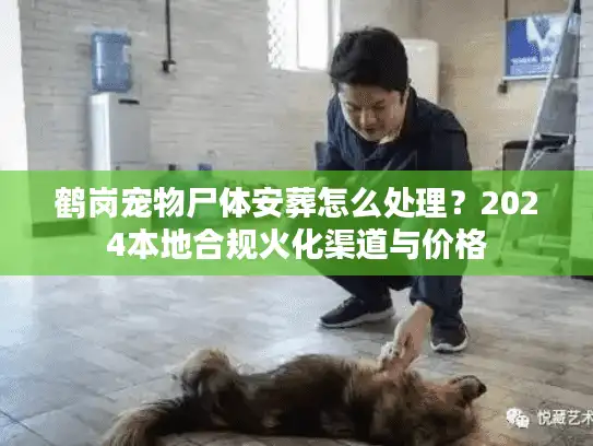 鹤岗宠物尸体安葬怎么处理？2024本地合规火化渠道与价格