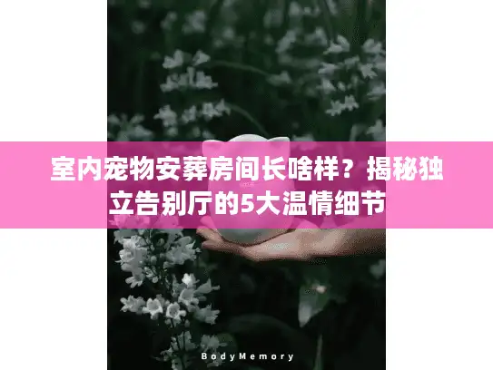 室内宠物安葬房间长啥样？揭秘独立告别厅的5大温情细节