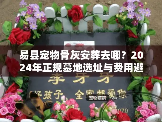 易县宠物骨灰安葬去哪？2024年正规墓地选址与费用避坑实录