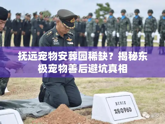 抚远宠物安葬园稀缺？揭秘东极宠物善后避坑真相